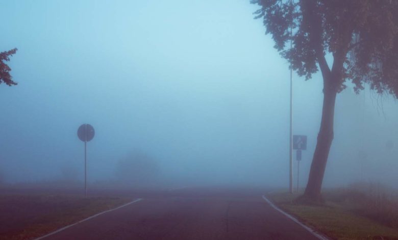 UAE Fog alert: Visibility will be affected in and around areas of UAE